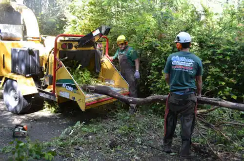 tree services Creal Springs